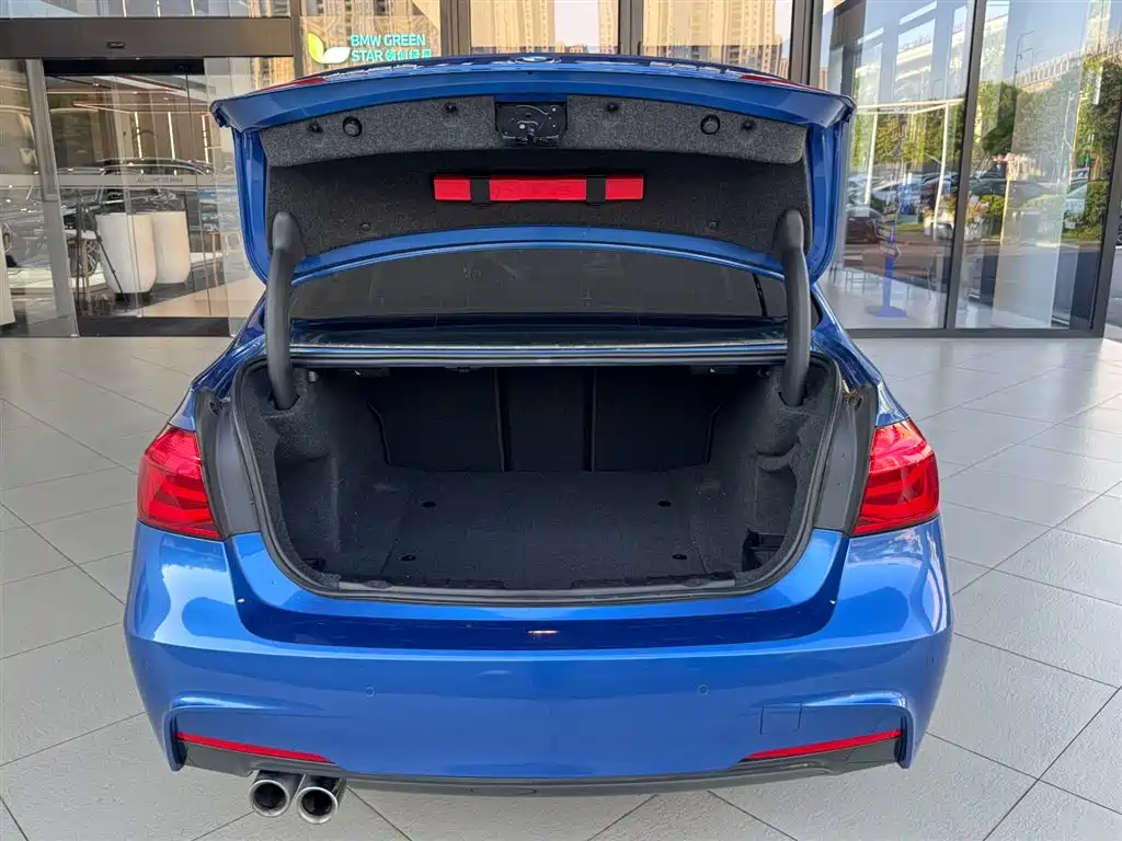 BMW 3 Series 2018 320Li M Sport Black Night Edition фото 13