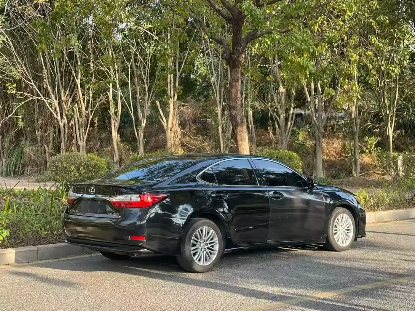 Lexus ES 2015 200 Elite Edition фото 4
