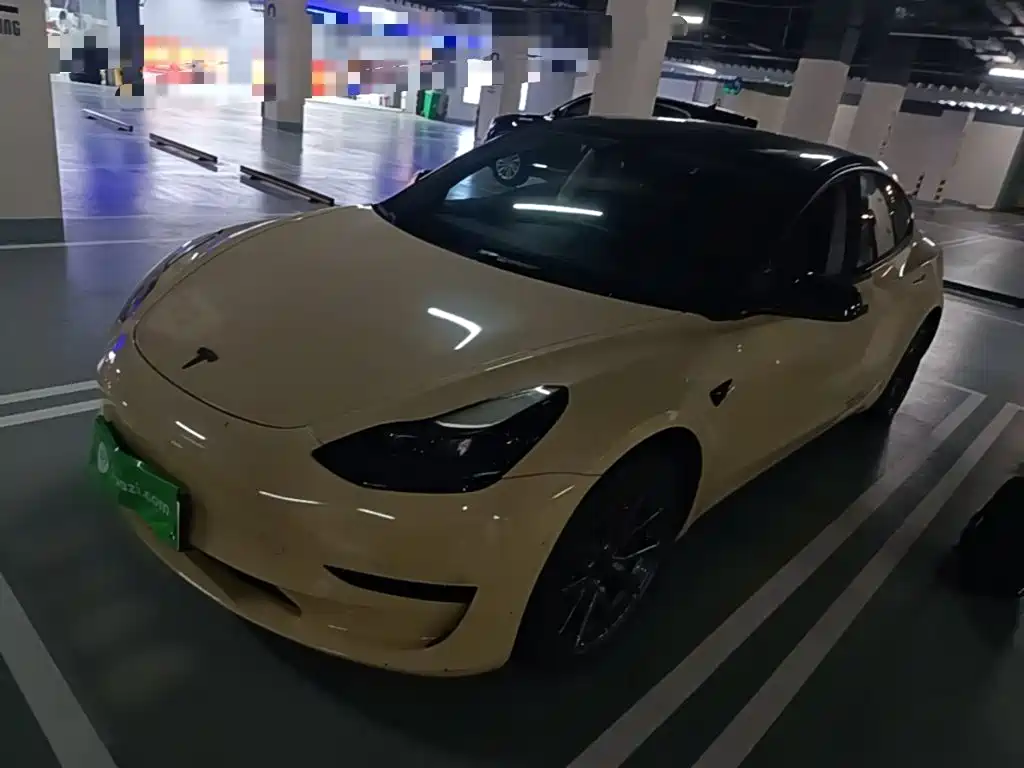 Tesla Model 3 2022