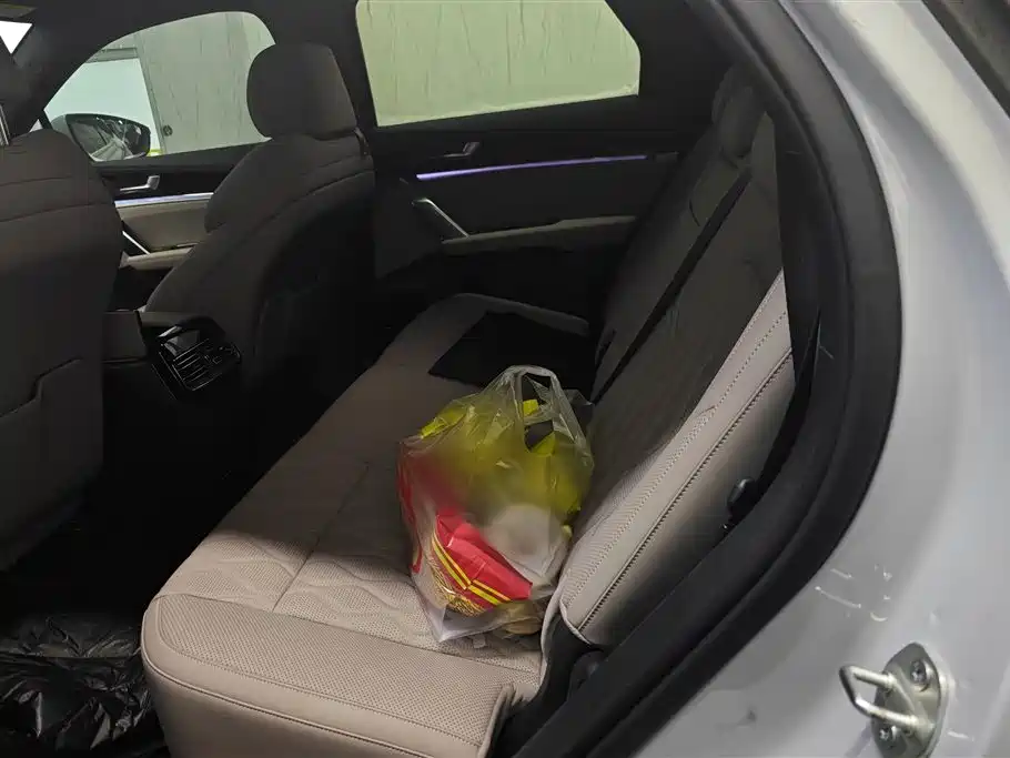 BYD Tang New Energy 2025 Smart Driving Edition DM-i 115KM Premium фото 11