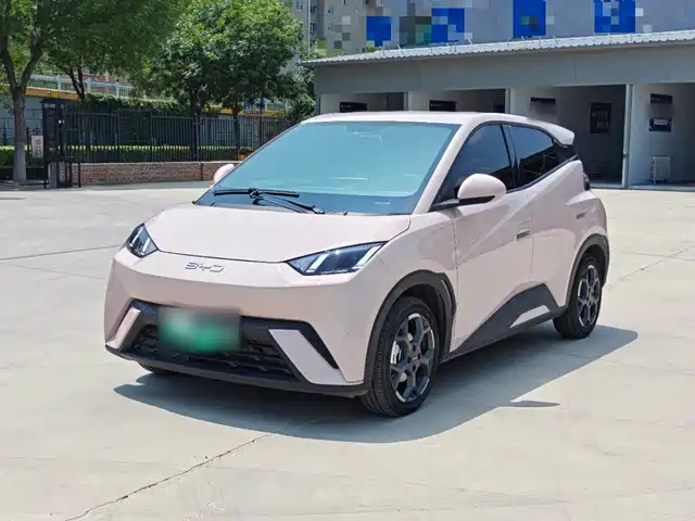 BYD Seagull 2024