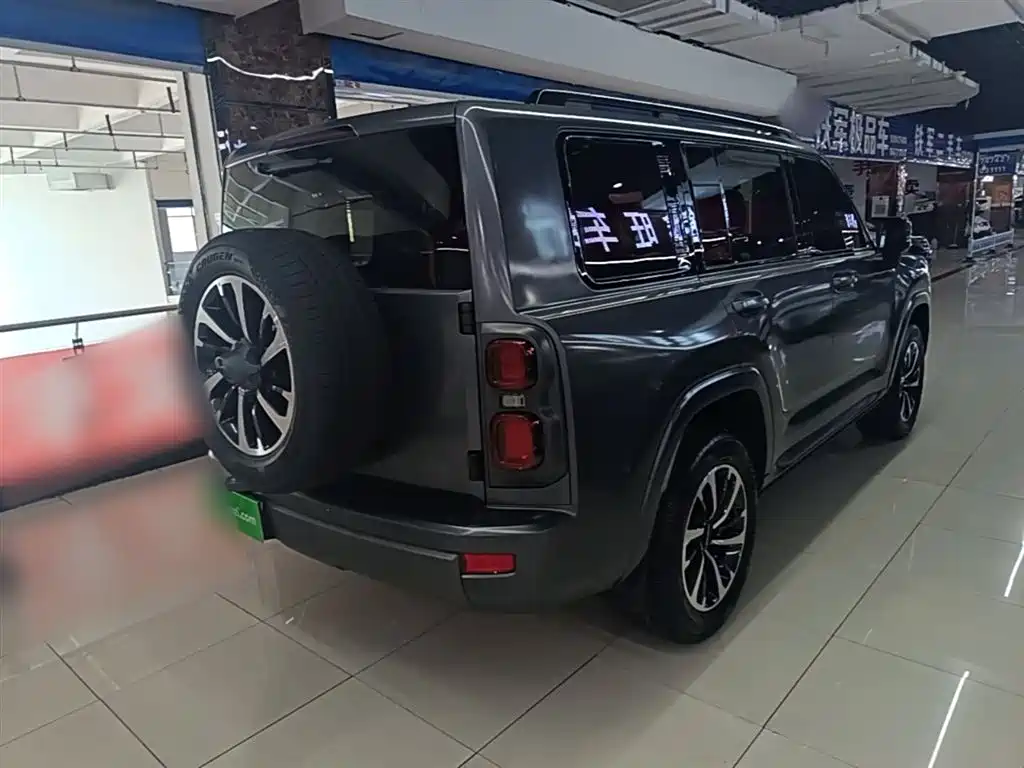 Haval H9 2024 2.0T Gasoline AWD Extreme Edition фото 7