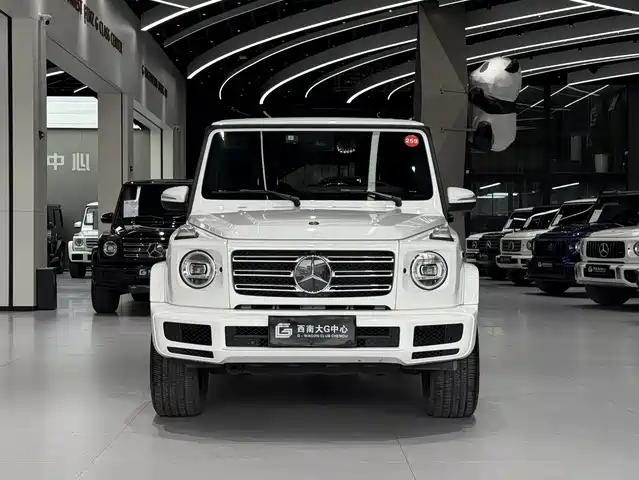 MERCEDES-BENZ G CLASS