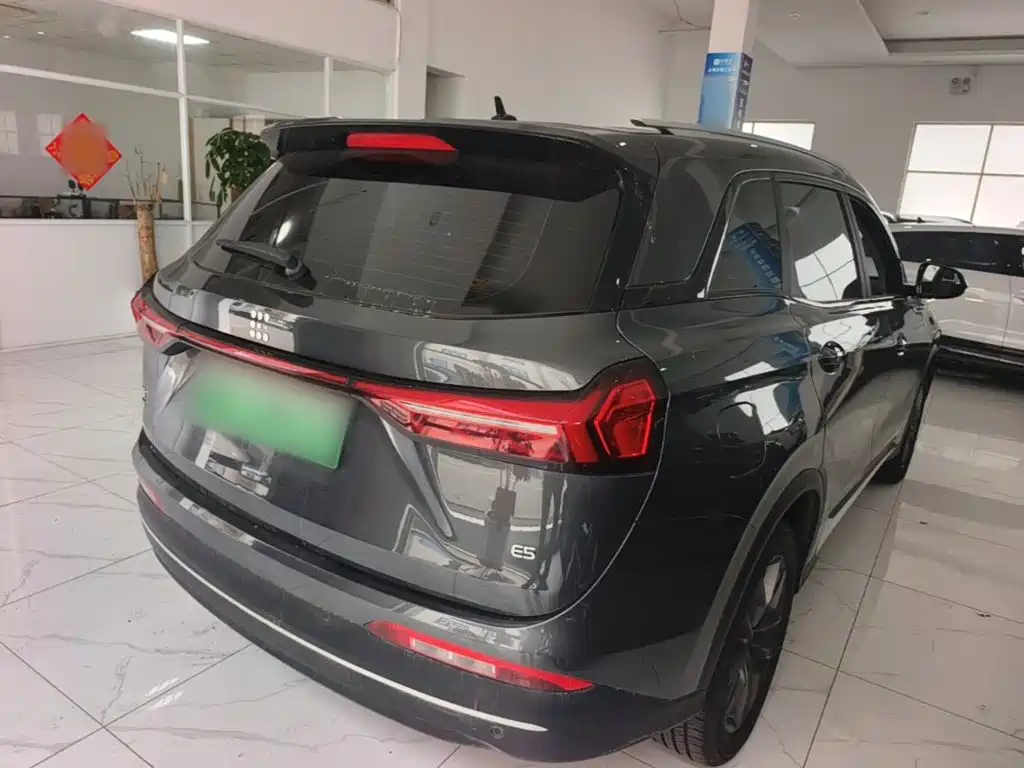 Landian E5 2024 2024 Glory Edition 100KM Comfort Type 7-Seater