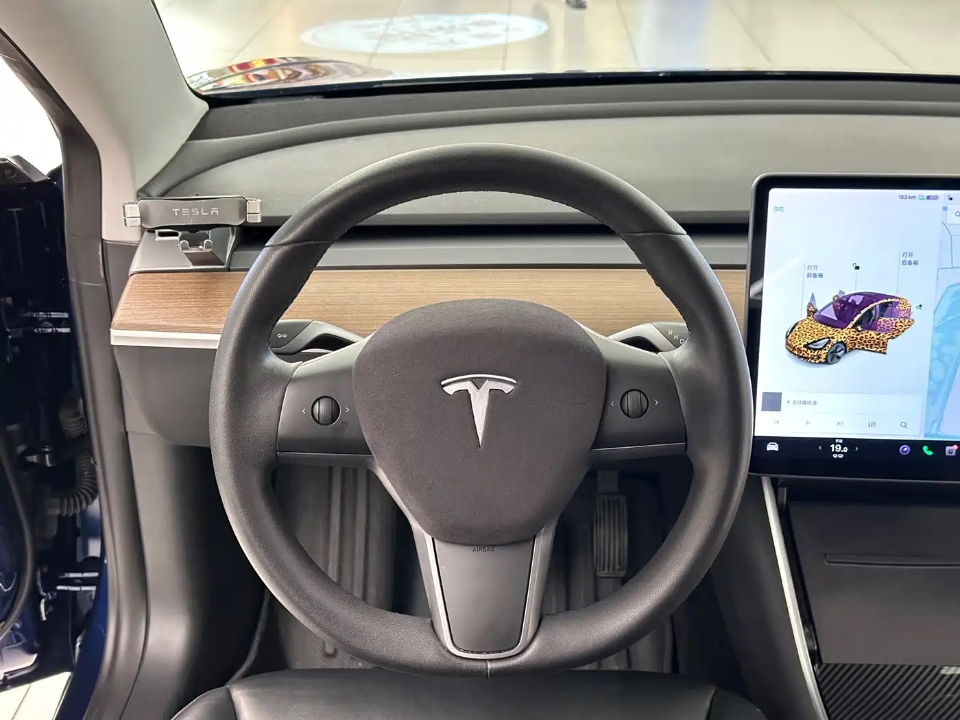 Tesla Model 3 (Import) 2019 2019 Long Range RWD Version