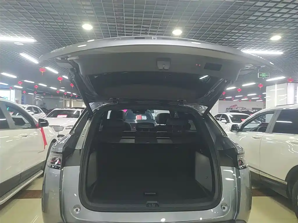 BYD Song L DM-i 2025 Smart Drive 160km Premium фото 19