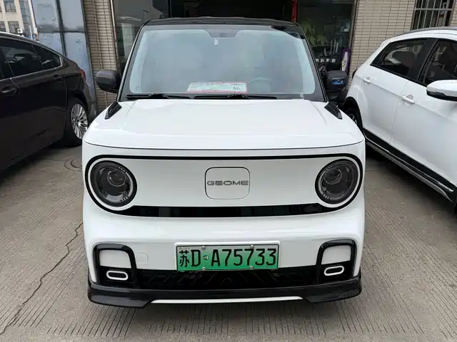 GEELY GALAXY PANDA