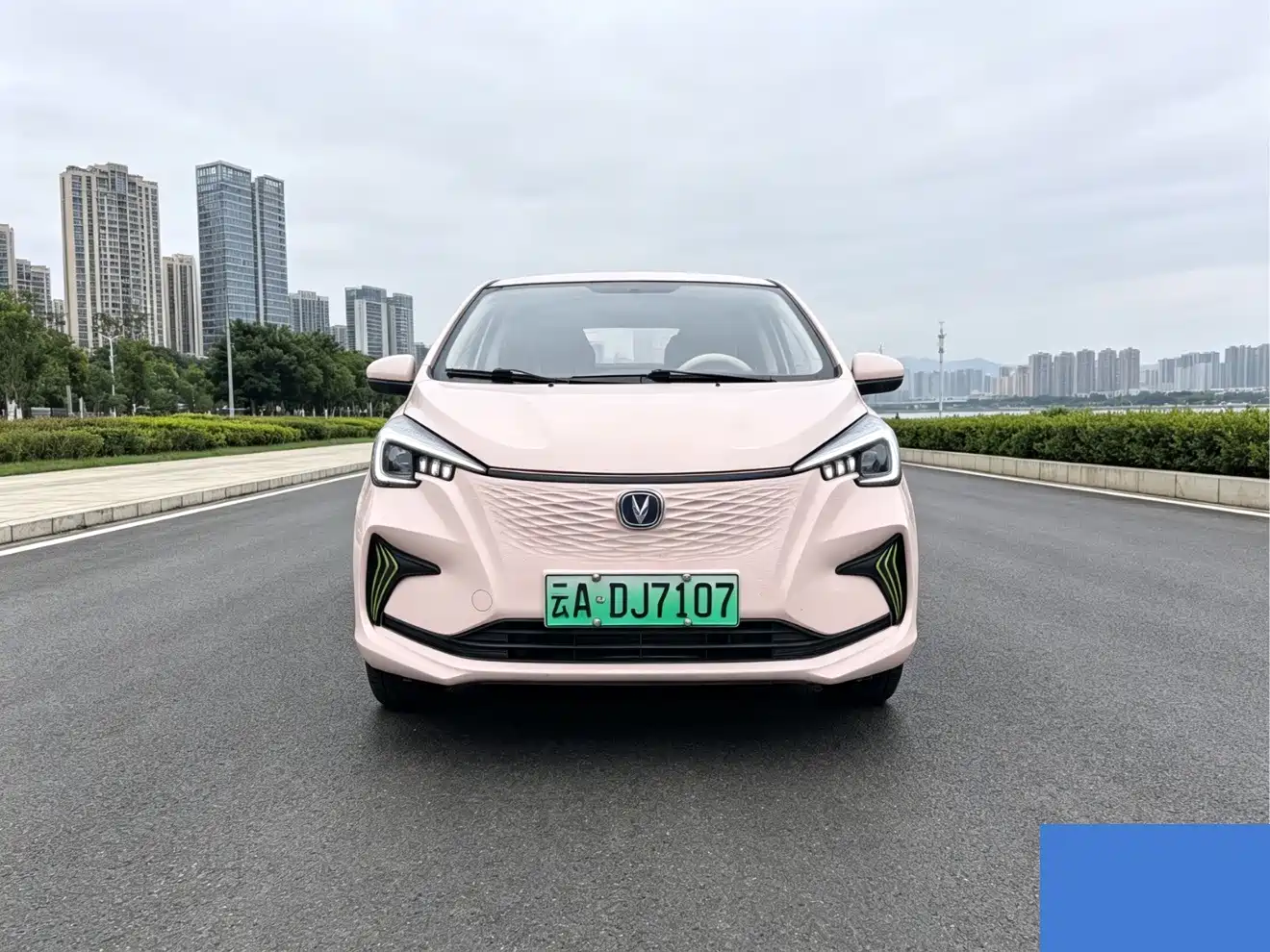 Photo 2 - Changan Benben E-Star