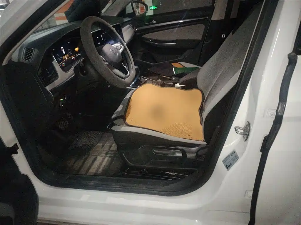 Volkswagen Bora 2023 1.5L Auto Free Ride Limited Edition фото 7
