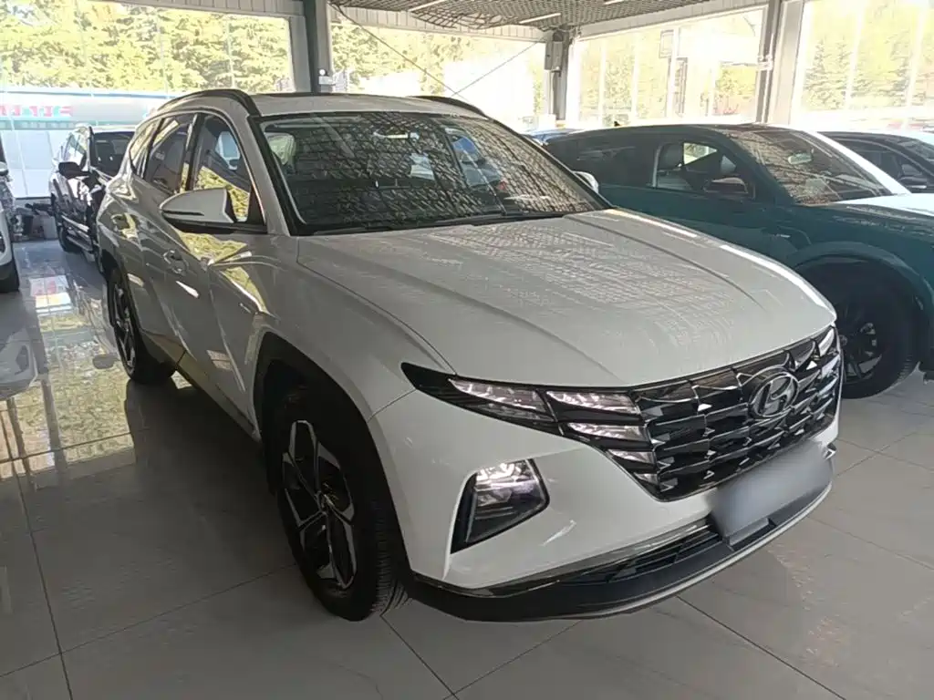 Hyundai Tucson 2023 2023 Tucson L 1.5T Automatic 2WD DLX Luxury Edition