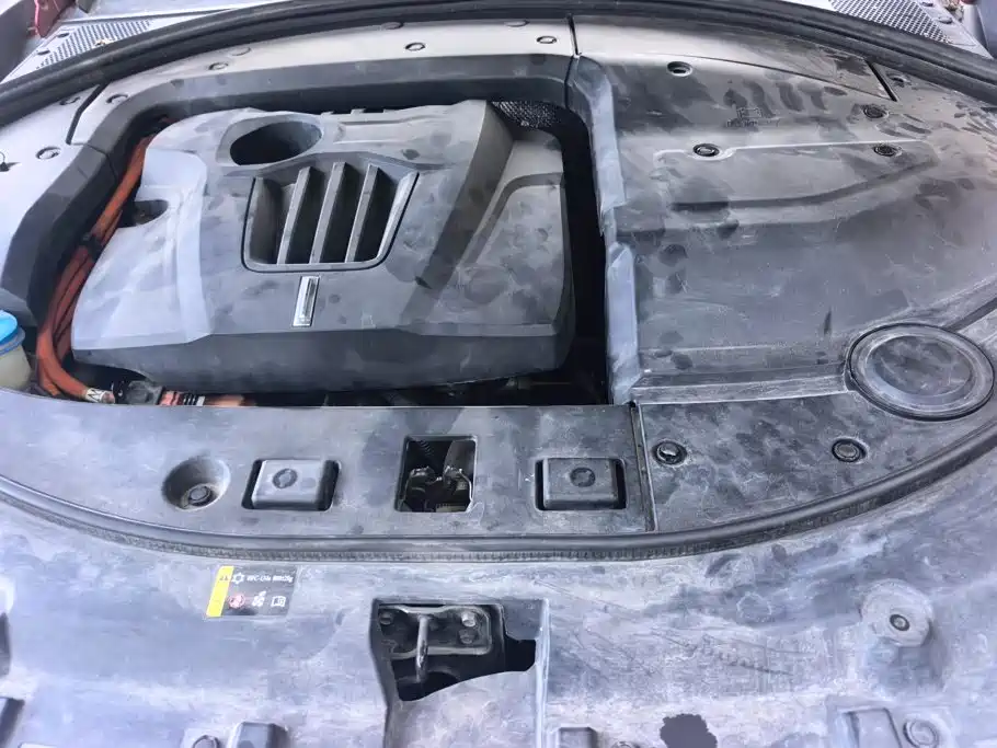 WEY P8 2018 2018 2.0T Flagship Model