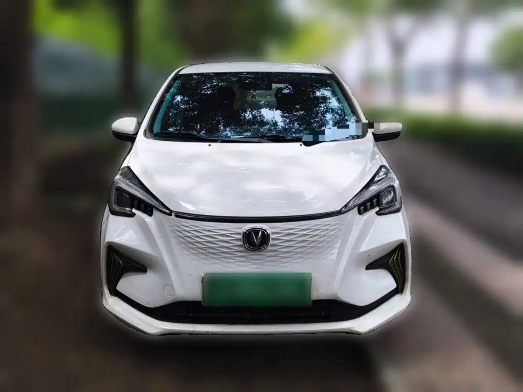 Changan Benben E-Star 2022 2022 Serenity Edition Colorful LFP