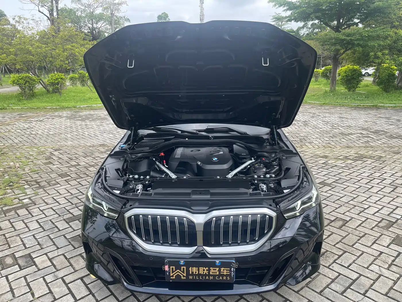 BMW 5 Series (Import) 2024 Model 525i M Sport Package фото 21