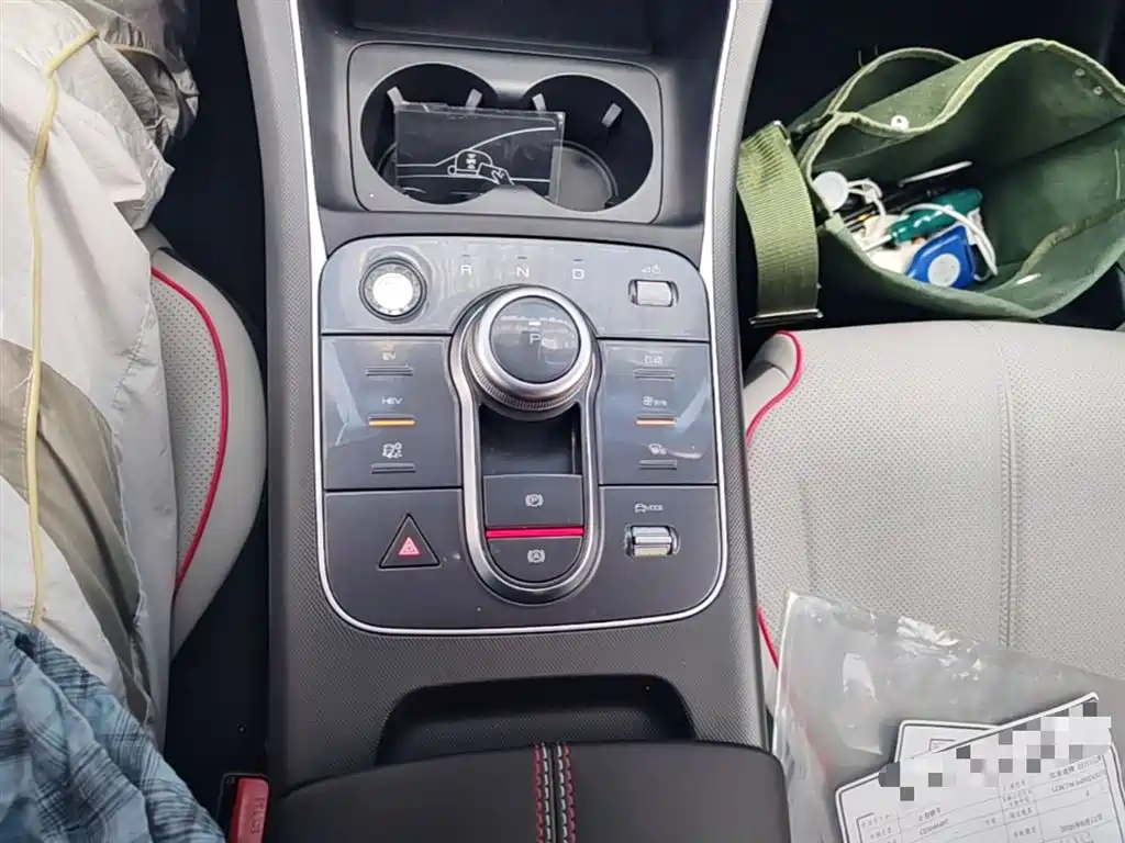 BYD Destroyer 05 2023 Champion Edition DM-i 55KM Luxury фото 14