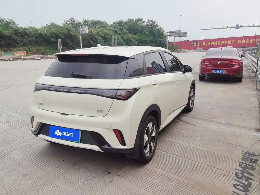 BYD Dolphin 2026 2025 420km Freedom Edition