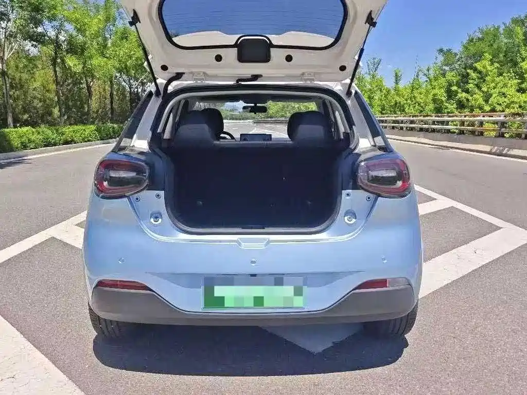Dongfeng Yipai Nano 01 2024 2024 430 Plus Smart+