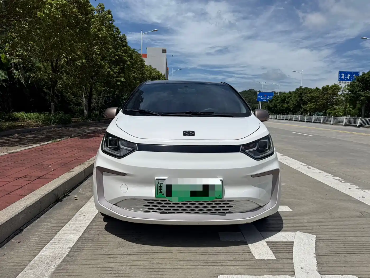 Sehol Flower Fairy 2021 2021 302km Surpass Edition 31.4kWh