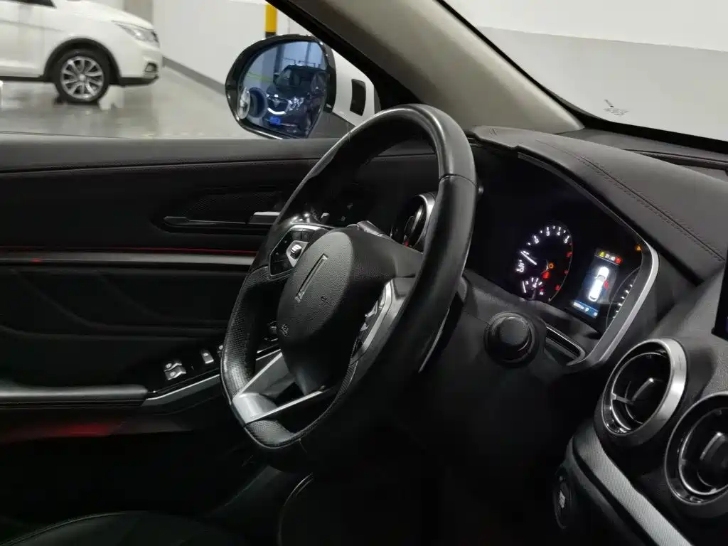 WEY VV5 2017 2017 2.0T Super Luxury Model