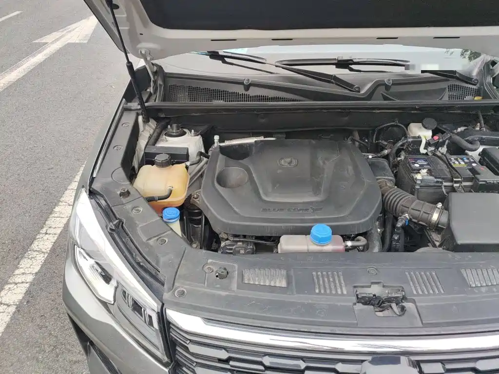 Changan CS75 2021 2022 Blue Whale Edition 1.5T DCT Premium