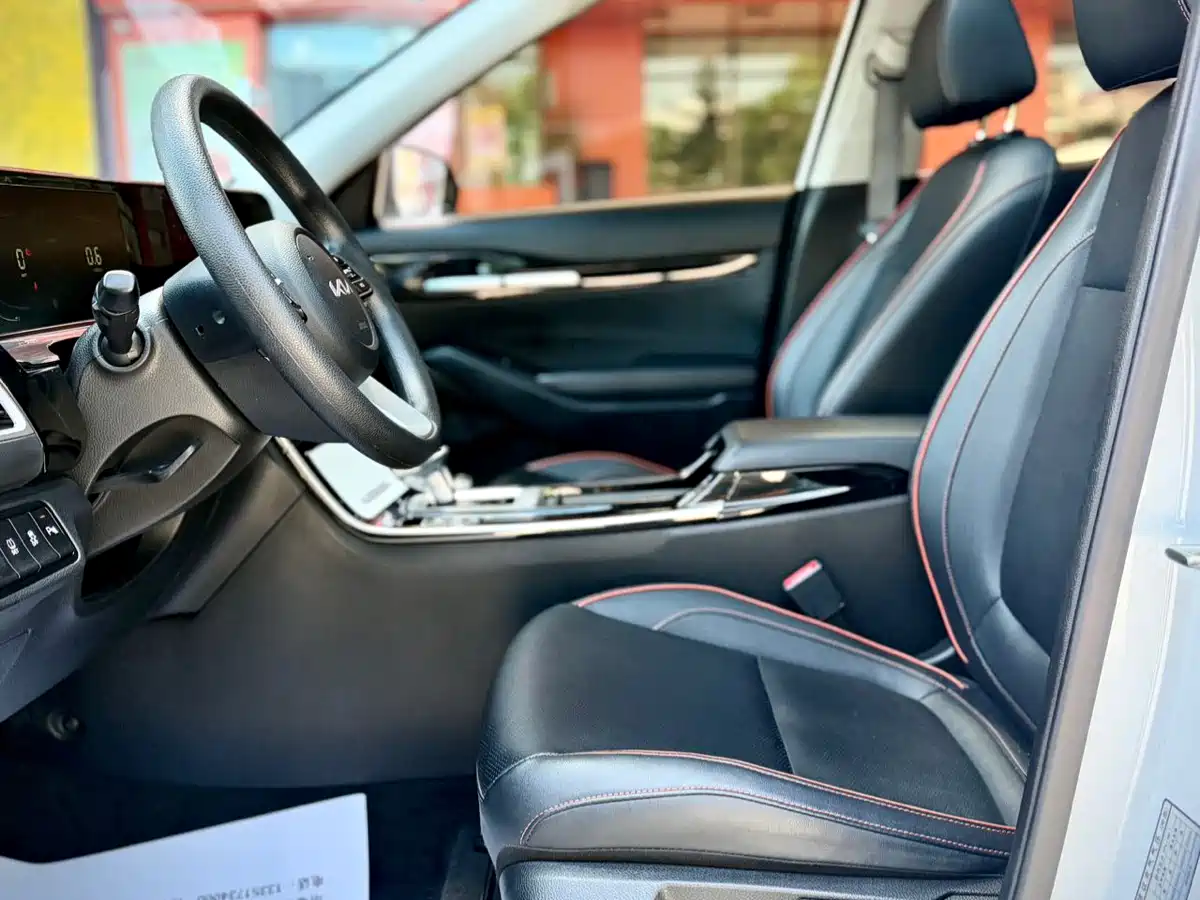 Kia Seltos 2023 1.5L CVT Luxury Edition фото 10