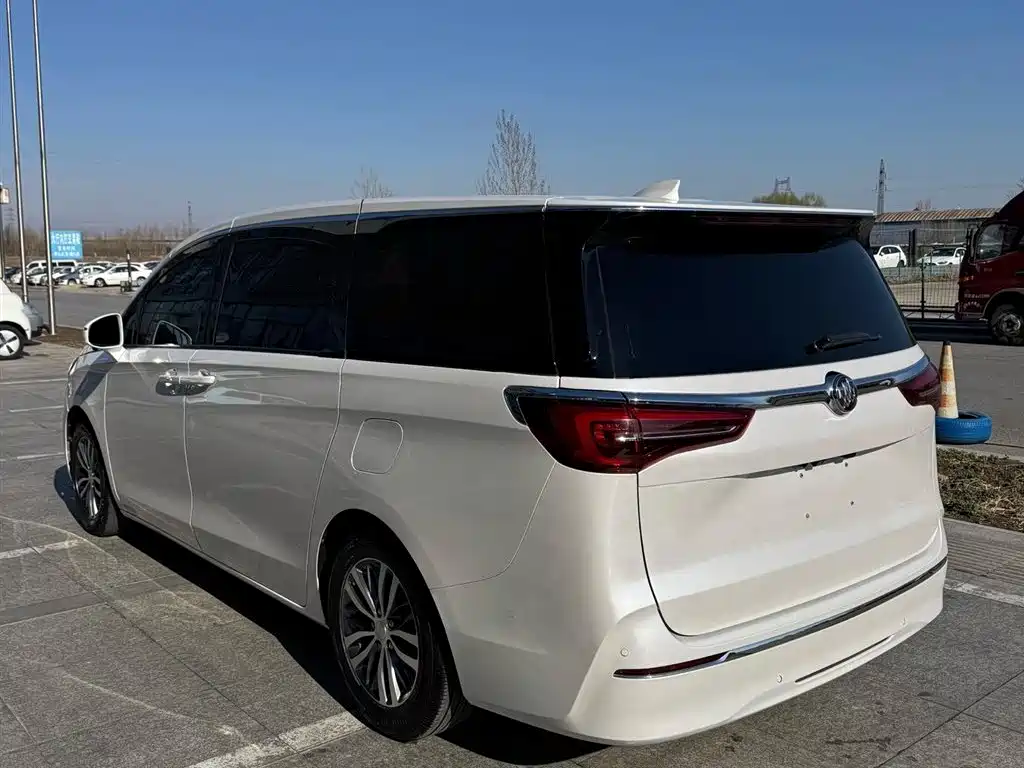 Buick GL8 2021 ES Landlord 653T Premium фото 6