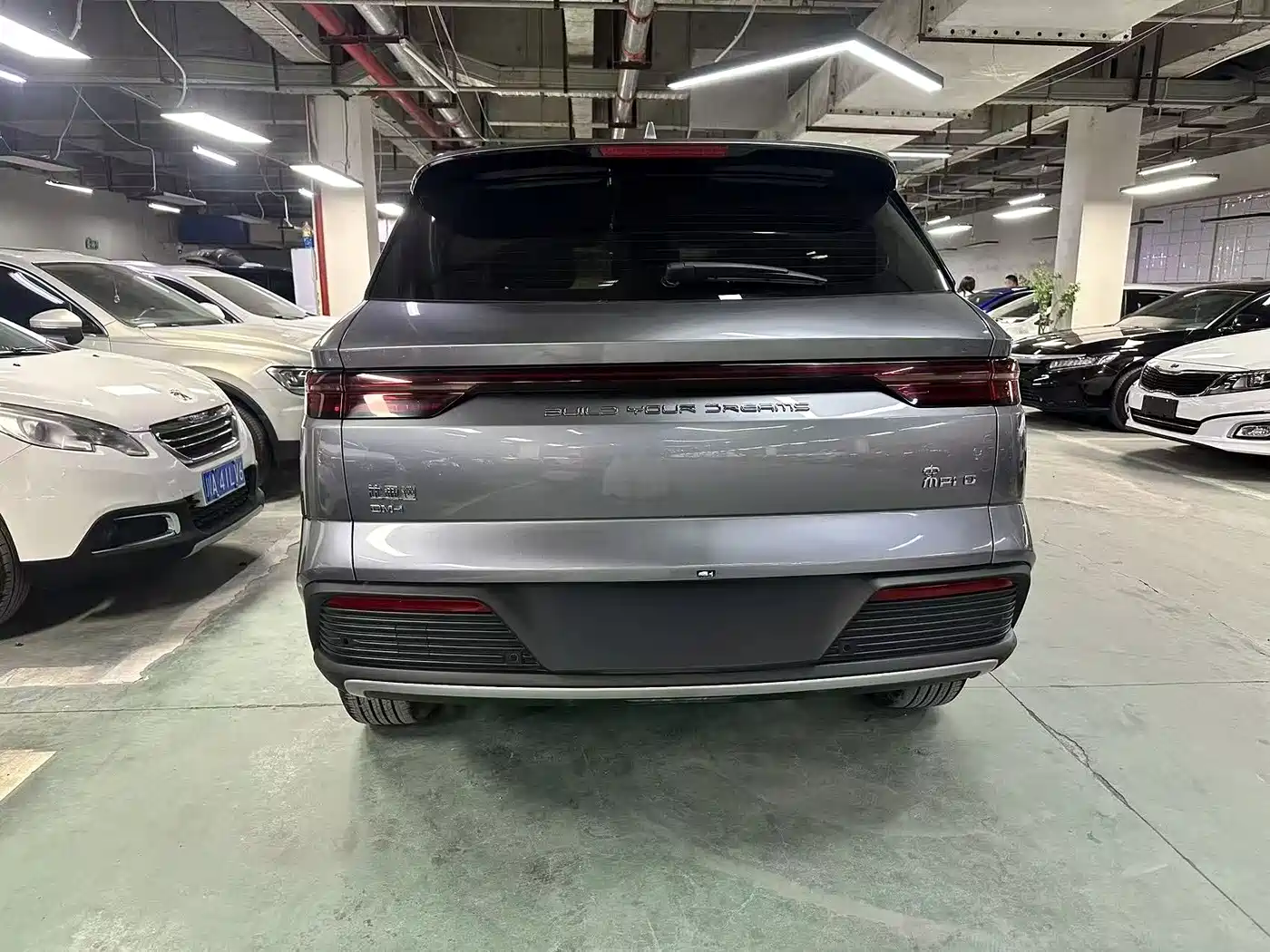 BYD Song Pro New Energy 2024 Glory Edition DM-i 71KM Pilot фото 5