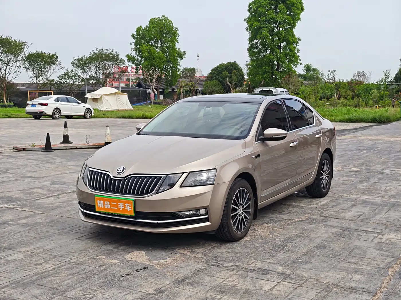Škoda Octavia 2019 TSI230 DSG Luxury Edition