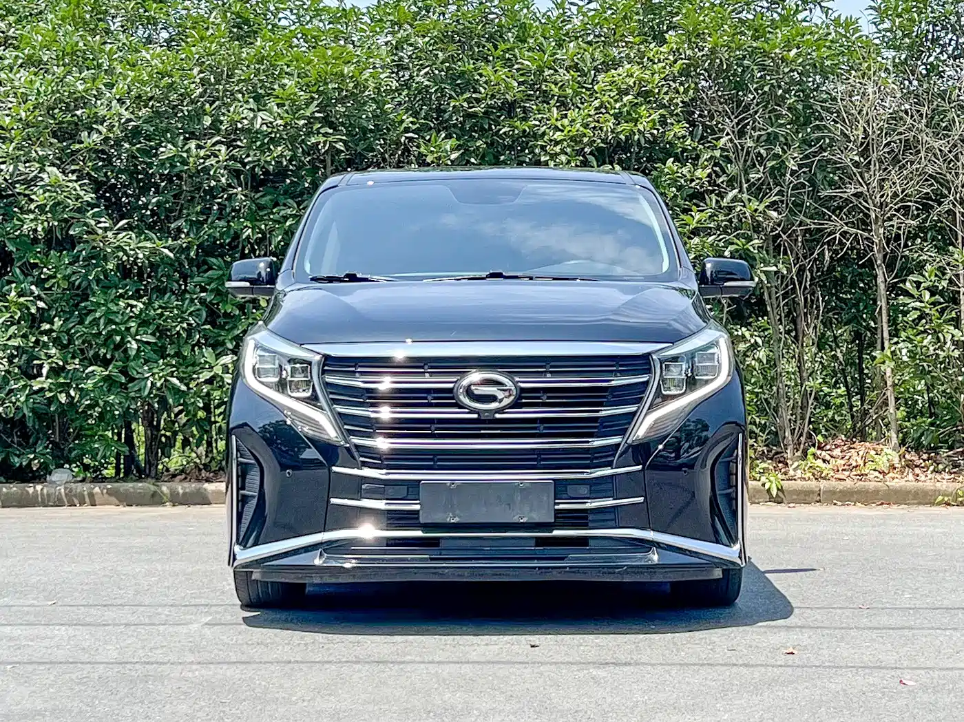 GAC Trumpchi Trumpchi M8 2023 Leading Series 390T Prestige Edition фото 2