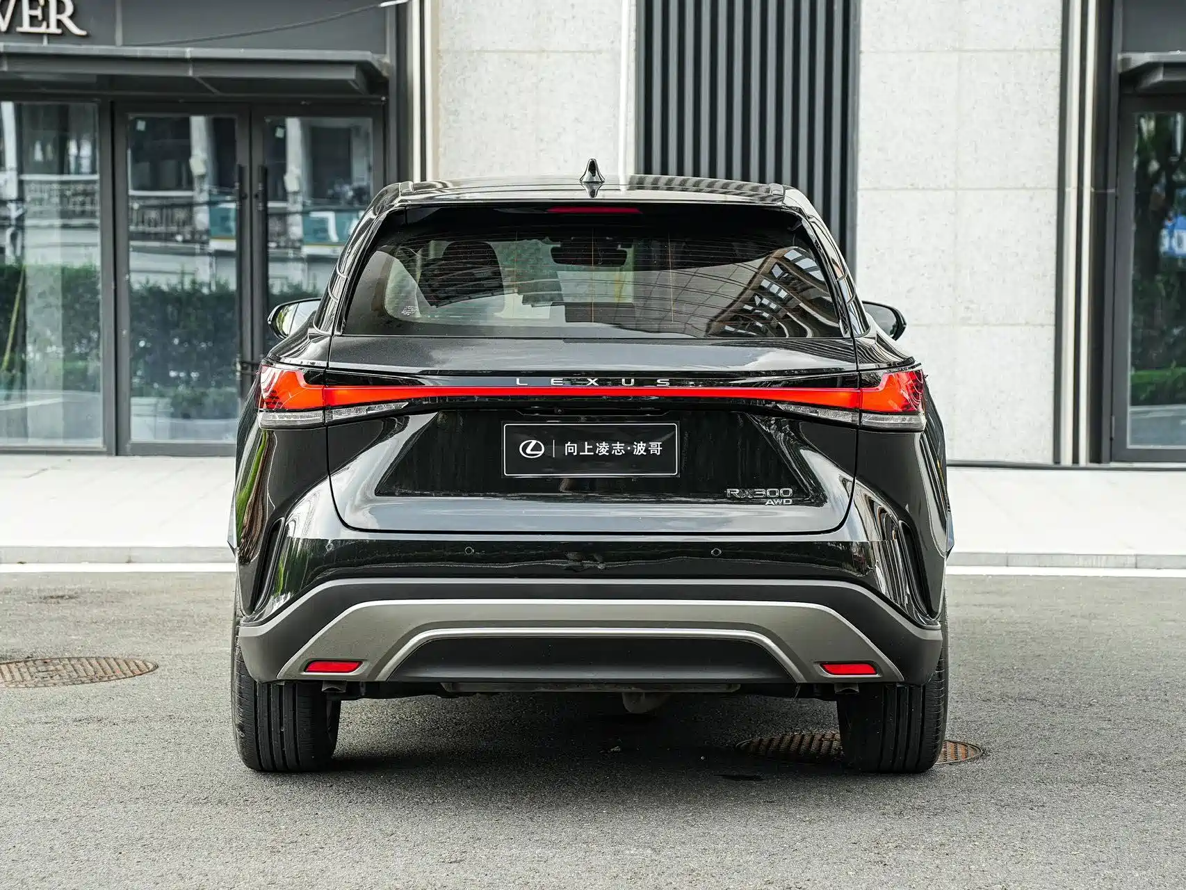 Фото 5 - Lexus RX