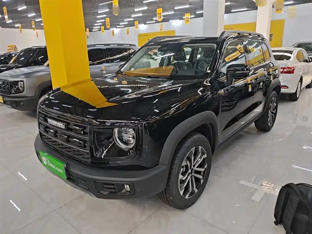 Haval Big Dog 2026 Model 1.5T High Configuration фото 2