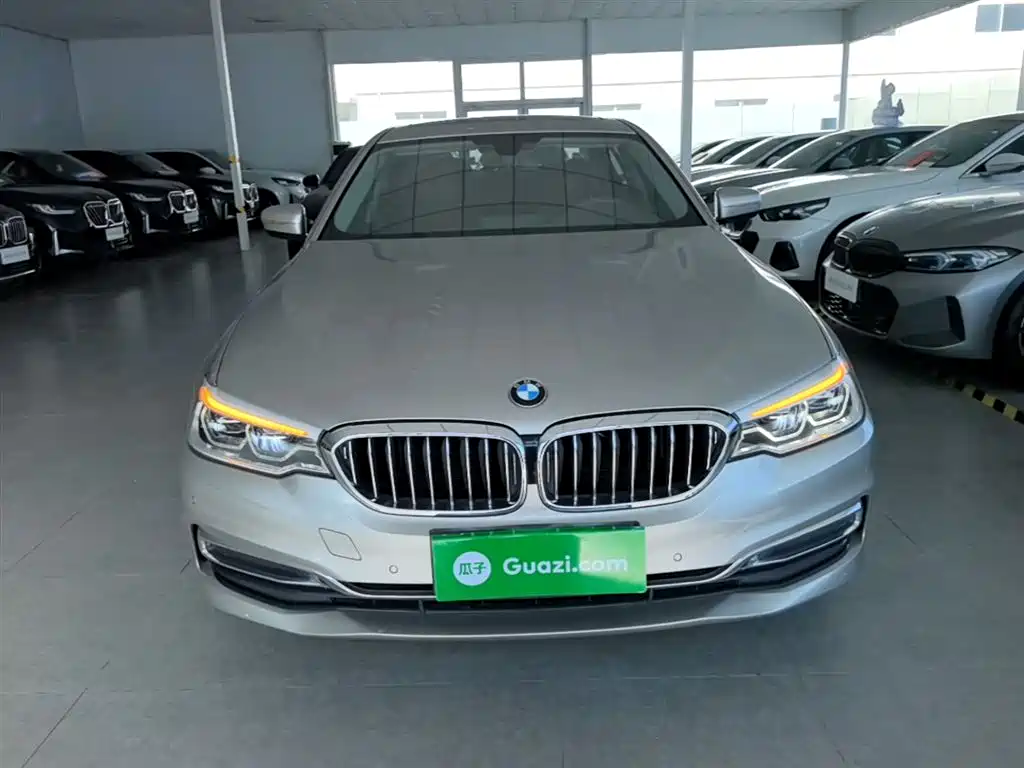 BMW 5 Series 2020 530Li Leading Luxury Package фото 3