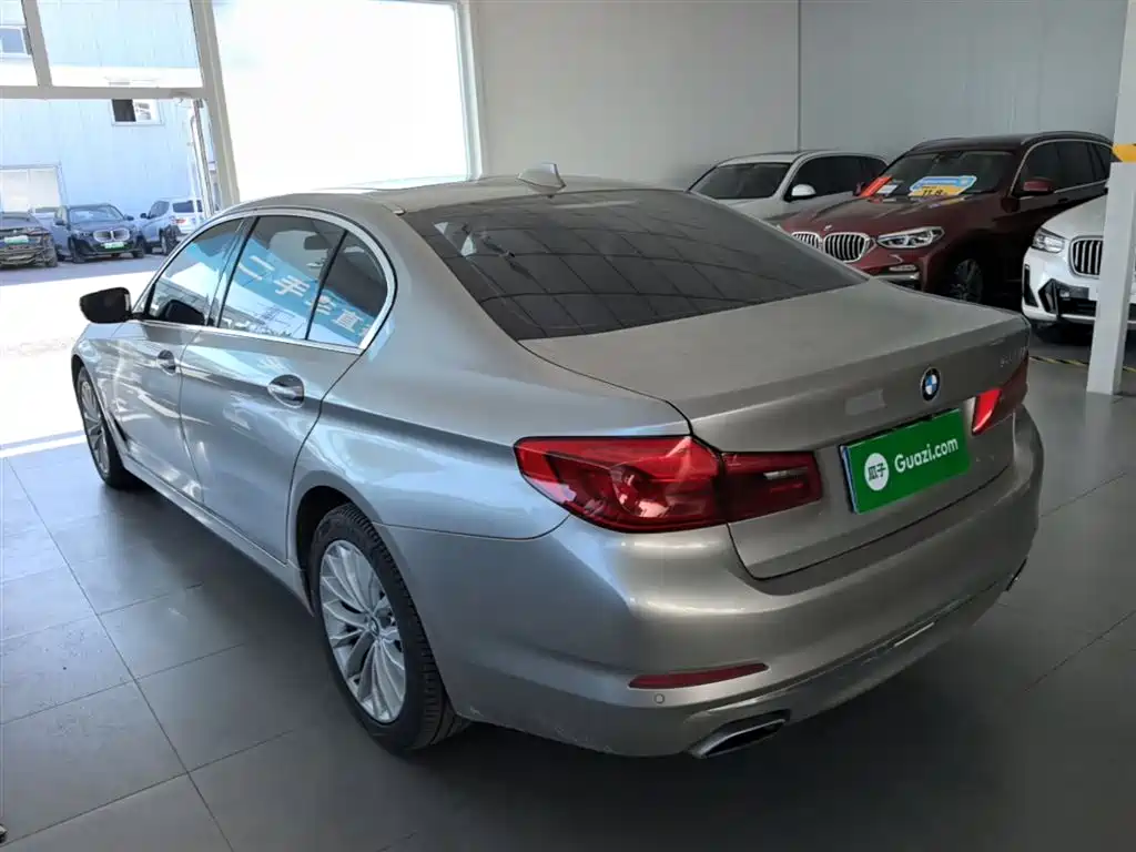BMW 5 Series 2020 530Li Leading Luxury Package фото 5