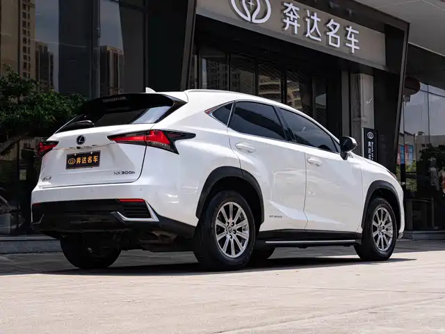 Lexus NX 2020 300h FWD Zhi·Hybrid Special Limited Edition — фото 3