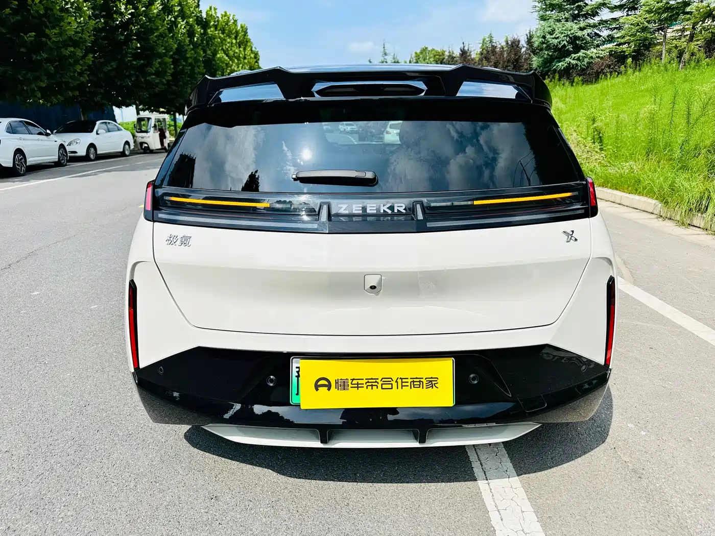 ZEEKR X 2024 2024 Model 4-Seat RWD Version