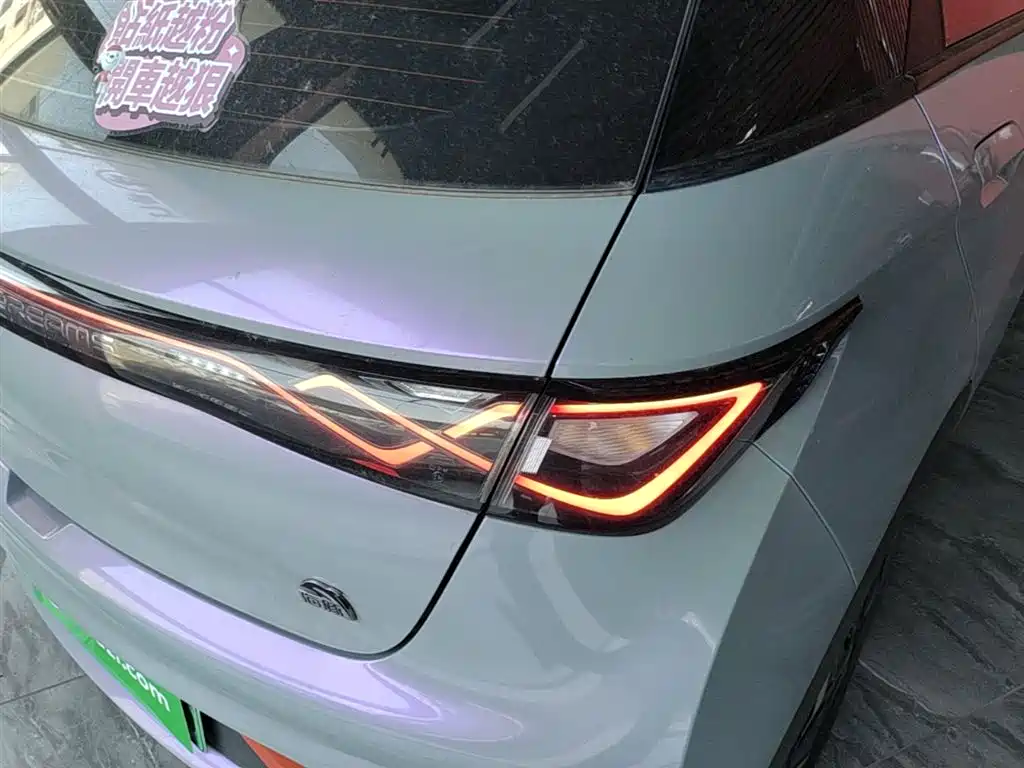 BYD Dolphin 2021 Model 405km Fashion Edition фото 8