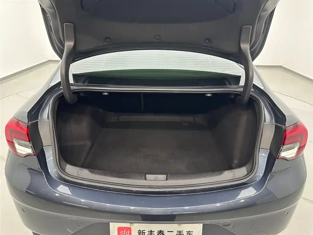 Buick Regal 2020 552T Elite фото 27