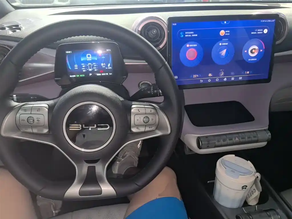 BYD Dolphin 2023 401km Knight Edition фото 10