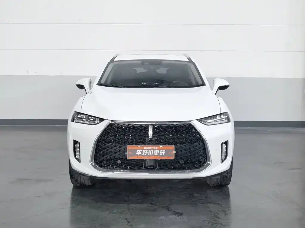 2018 WEY P8
