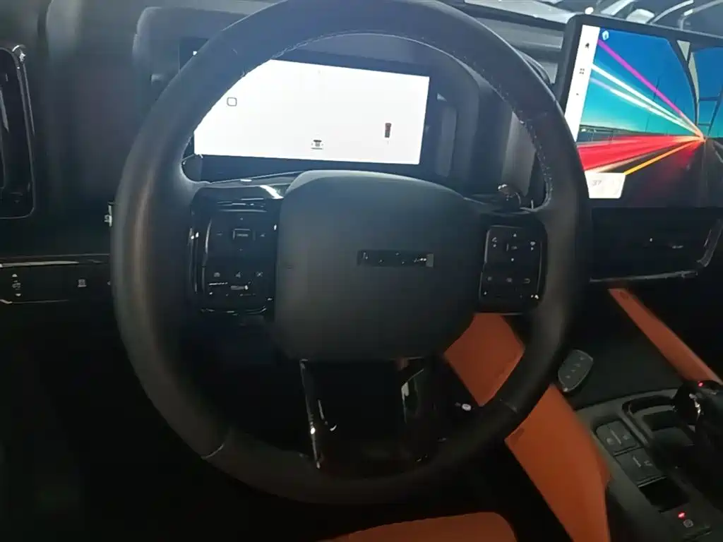 Haval H9 2024 2.0T Gasoline AWD Extreme Edition фото 11