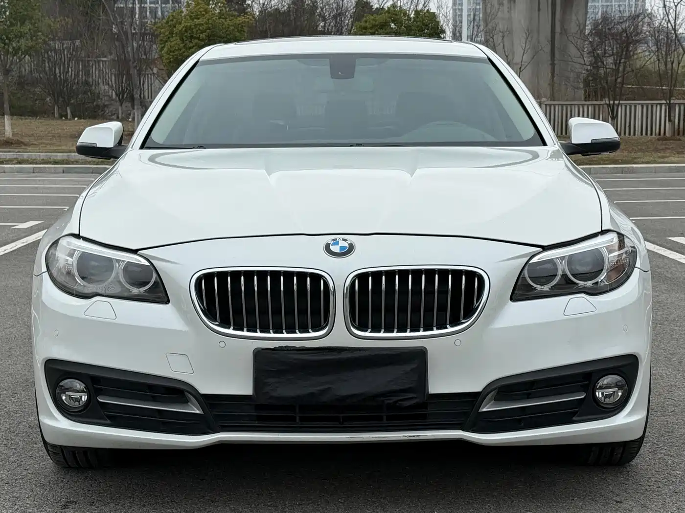 BMW 5 Series (Import) 2014 520i Classic фото 2