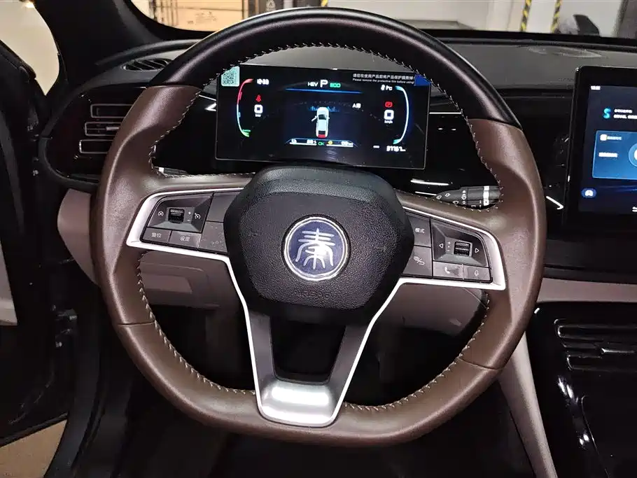 BYD Qin PLUS 2024 Glory Edition DM-i 55KM Leading фото 15