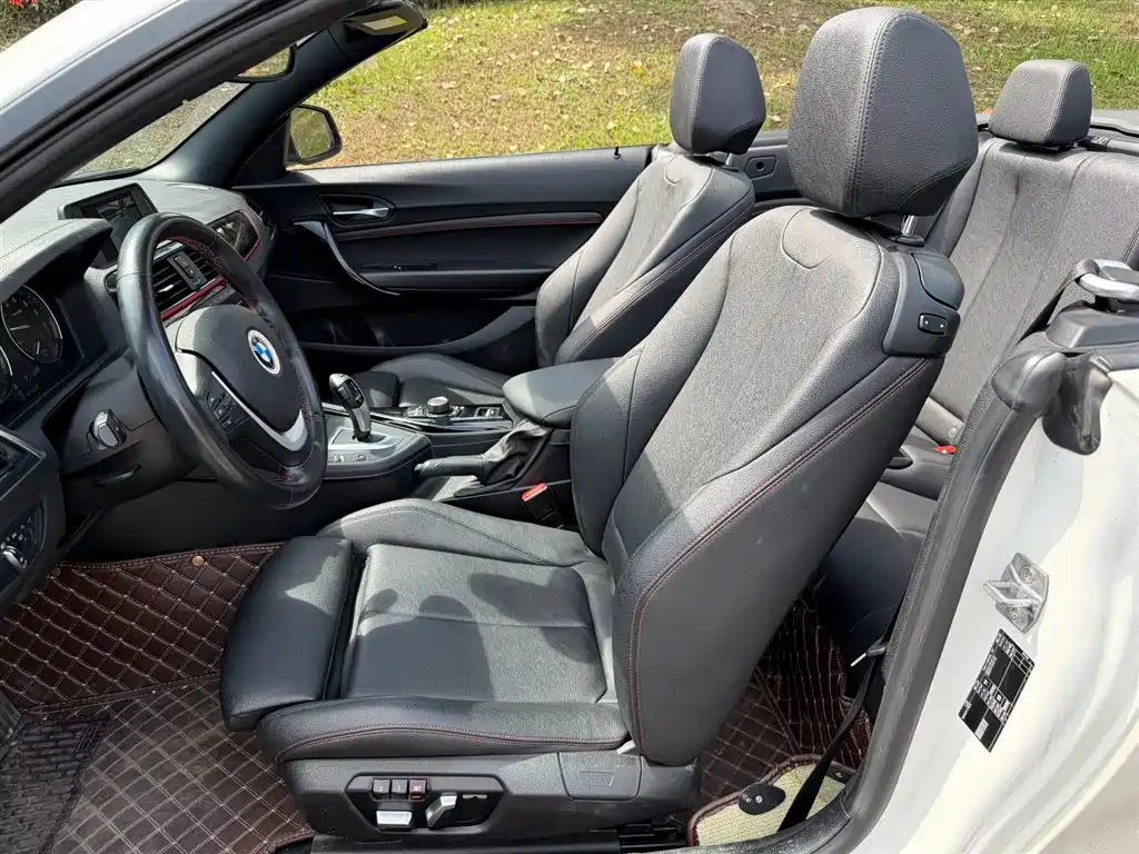 BMW 2 Series (Import) 2019 225i Convertible Coupe Sport Design Package фото 8