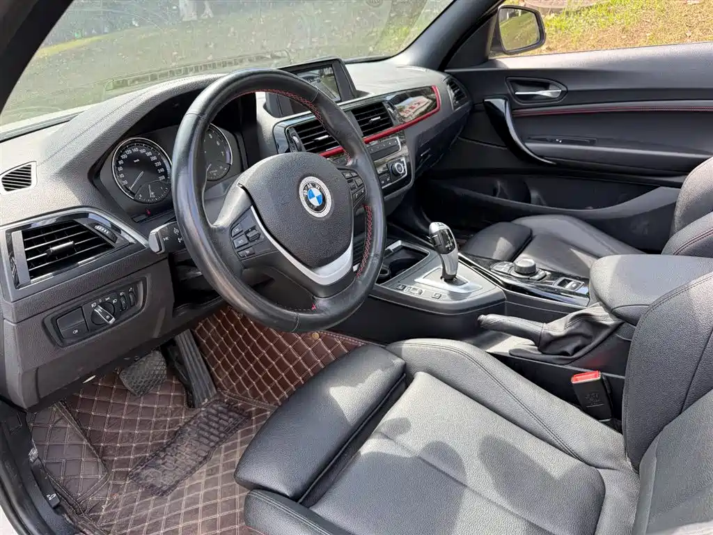 BMW 2 Series (Import) 2019 225i Convertible Coupe Sport Design Package фото 7