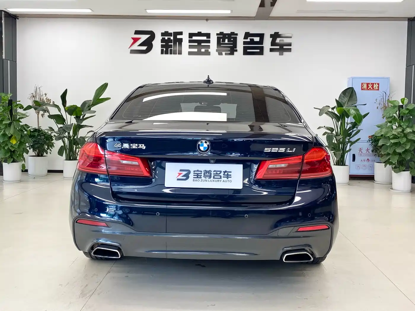 BMW 5 Series 2019 525Li M Sport Package фото 17
