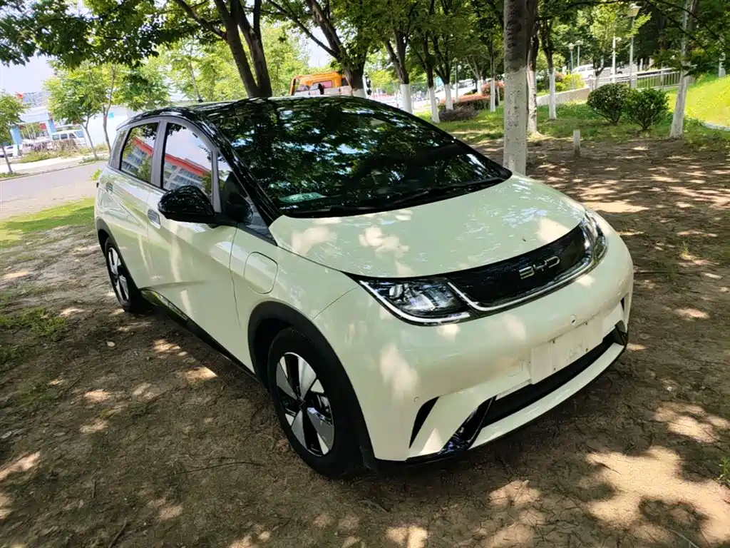 BYD Dolphin 2023 420km Fashion Edition фото 4