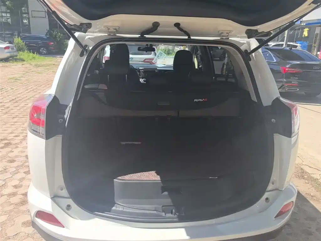 Toyota RAV4 Rongfang 2018 2.0L CVT 2WD Trend X Edition фото 19