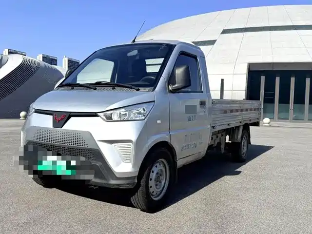 Wuling Motors Wuling Electric Truck 2021