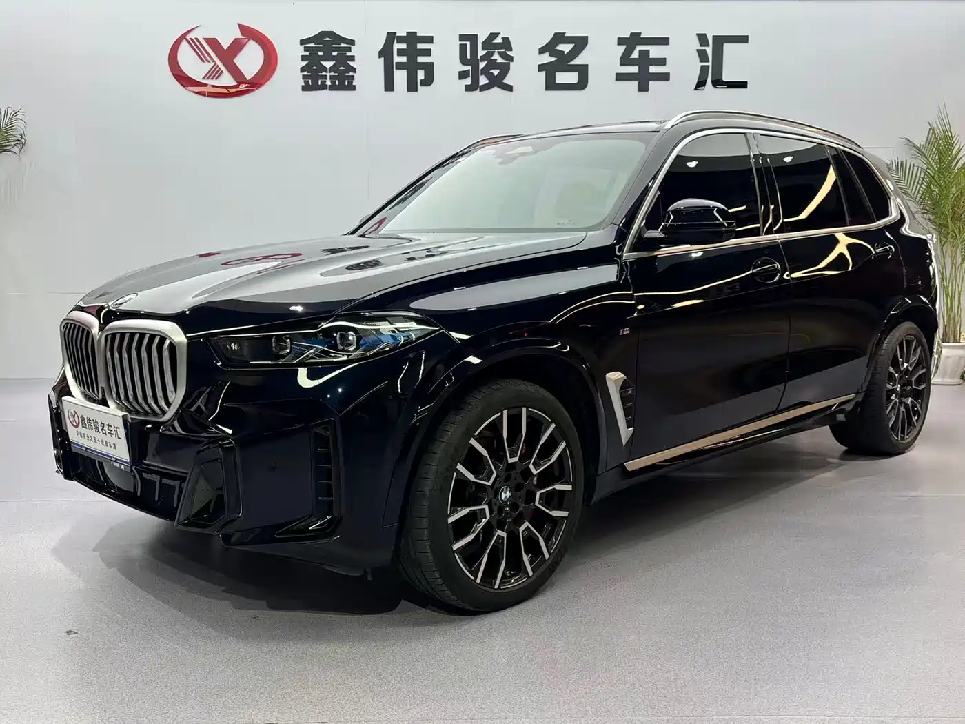 BMW X5 2023 xDrive 40Li M Sport Package фото 2