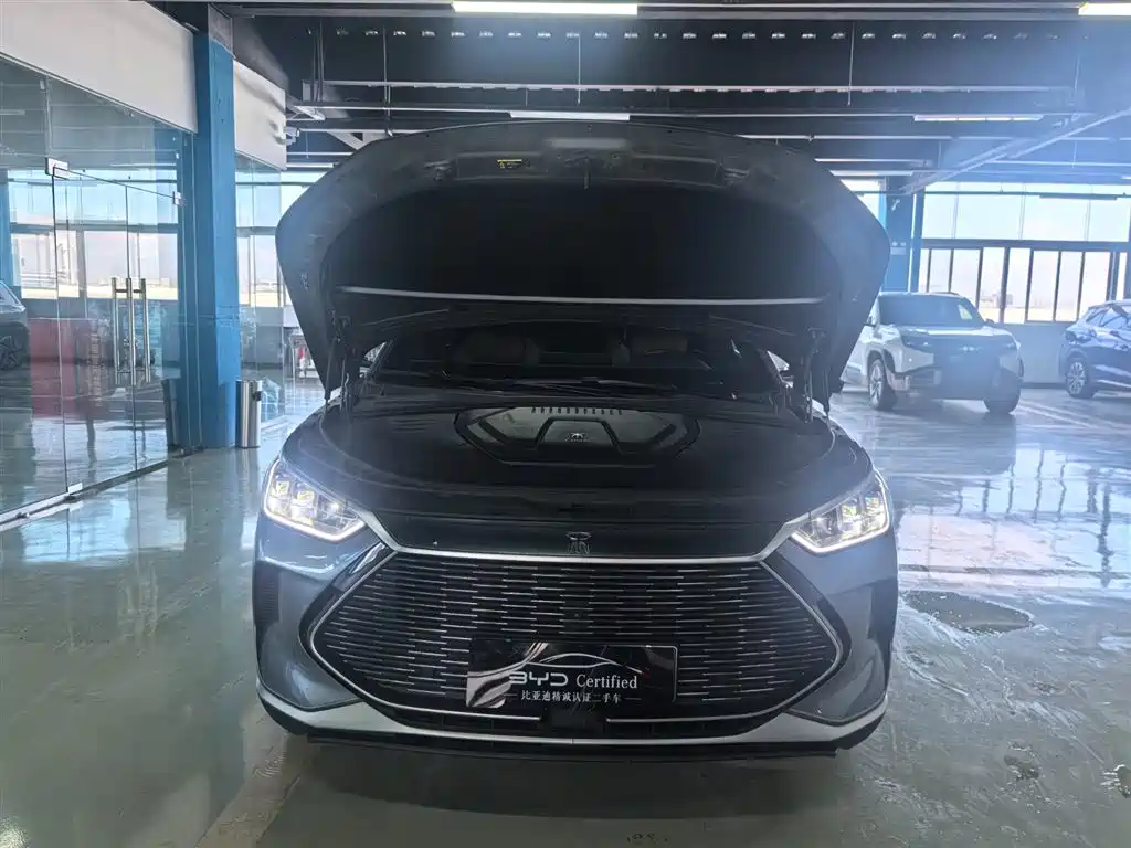 BYD Song PLUS PHEV 2021 DM-i 110KM Flagship PLUS фото 10
