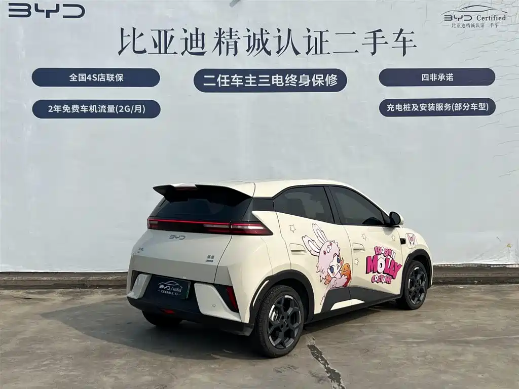 BYD Seagull 2025 Smart Drive Edition 305km Freedom Version фото 4